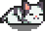 catSleepNozoki